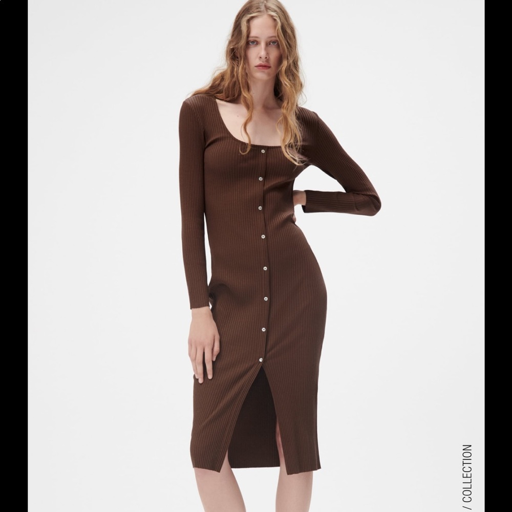 Zara Button Front MIDI Sweater Dress
